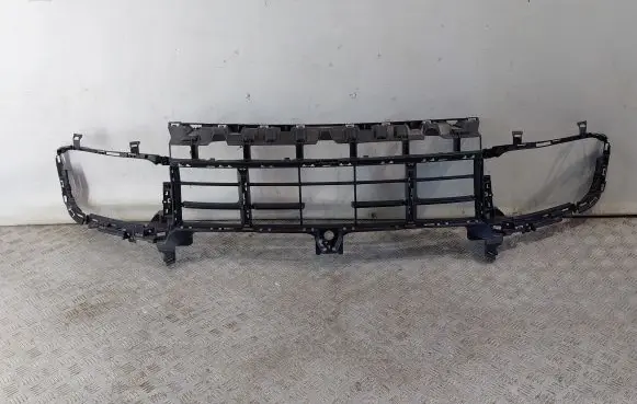 Porsche Cayenne (9Y0 9Y3) Front bumper lower grill 9Y0807683AM