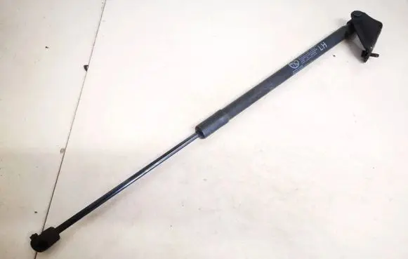 Tailgate/trunk strut/damper