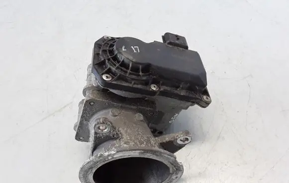 Dacia Dokker Throttle valve
