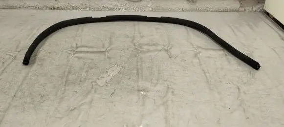 Mercedes-Benz AMG GT R190 C190 Front door rubber seal A1906970351