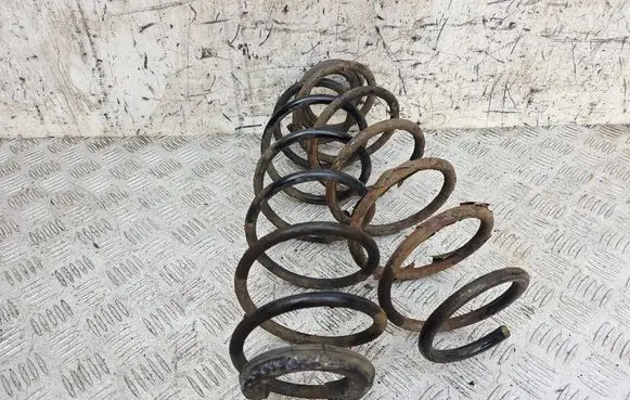 Rear coil spring