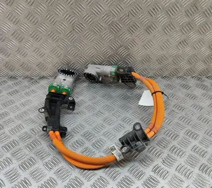 BMW iX Other wiring loom 5A0C134