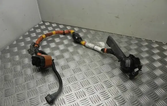 Renault Captur Other wiring loom 297A38225R VD18824 DEFEKTAS PAKROVIMO LIZDAS
