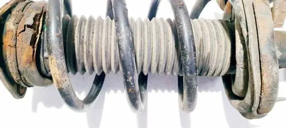 Front coil spring