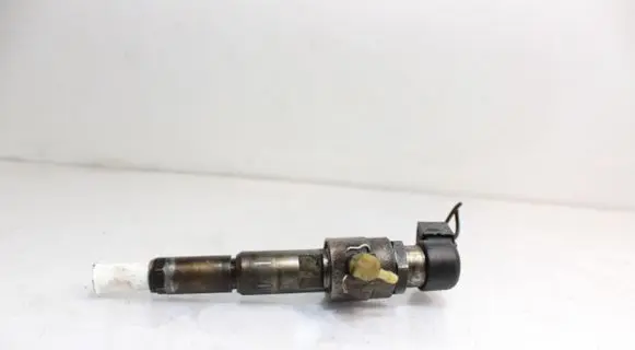 Citroen C2 Fuel injector
