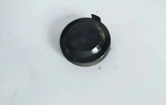 Volkswagen PASSAT B5 Headlight/headlamp dust cover