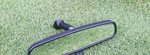 Nissan Leaf I (ZE0) Rear view mirror (interior) E8011681