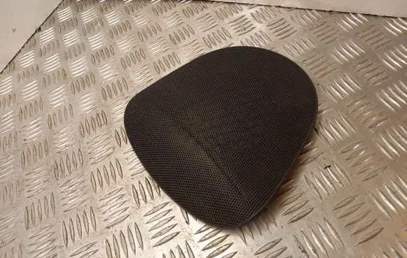 Side speaker trim/cover