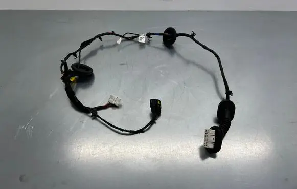 Hyundai Santa Fe Rear door wiring loom 916602W031