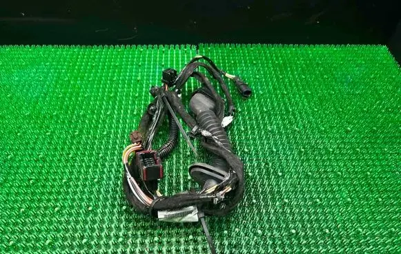 Renault Trafic II (X83) Front door wiring loom 8200003819