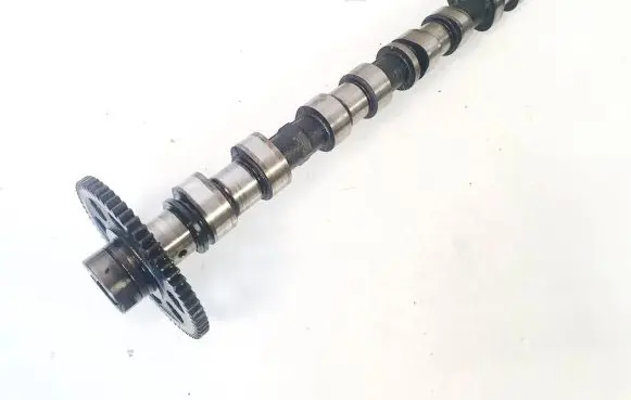 Toyota RAV 4 (XA20) Camshaft 6c01613
