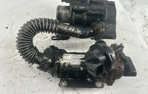 Nissan Primastar Throttle valve 8200987453