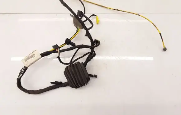Chrysler Crossfire Front door wiring loom A1935401005