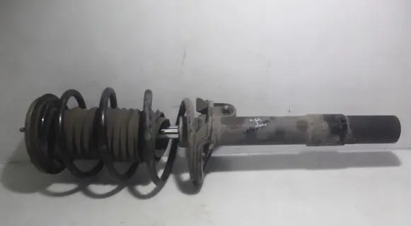 Front shock absorber with coil spring