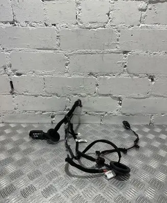 Rear door wiring loom