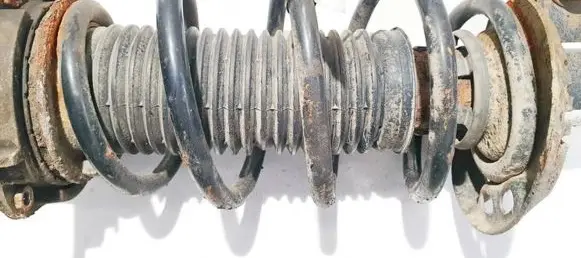 Front coil spring