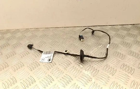 Skoda Enyaq iV Rear door wiring loom 5LA972297B
