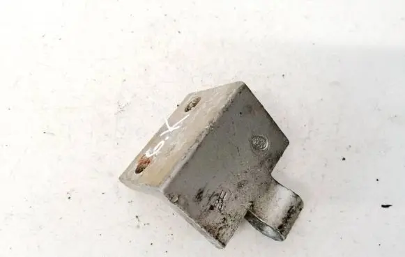 Peugeot 406 Rear door lower hinge