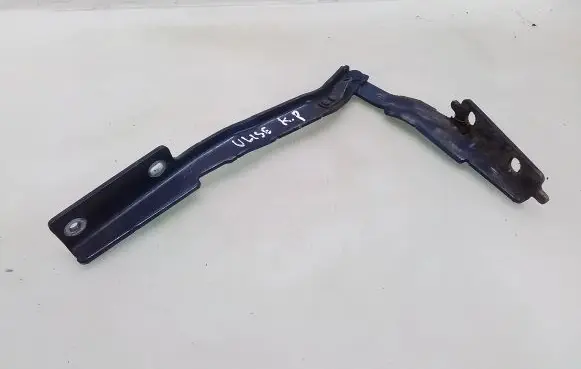 Engine bonnet/hood hinges