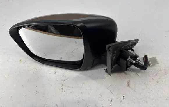 Nissan Juke I F15 Front door electric wing mirror E8047186