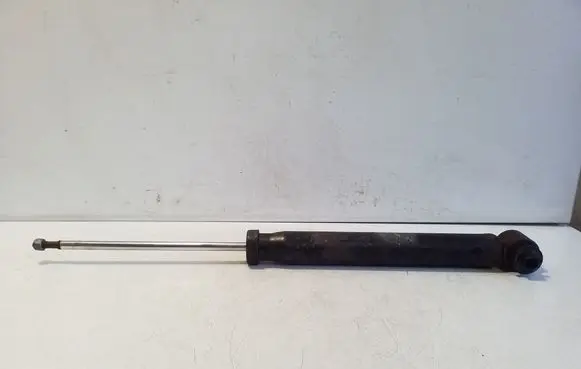 Rear shock absorber/damper