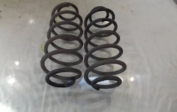 Rear coil spring