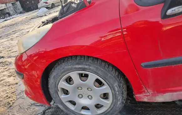 Peugeot 207 Fender 