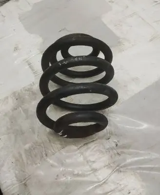 Rear coil spring