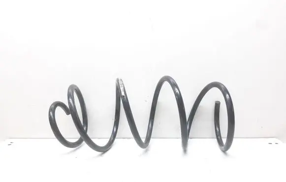 Front coil spring