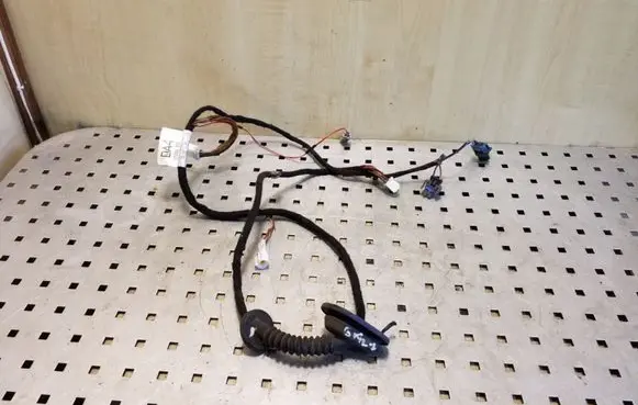 Rear door wiring loom