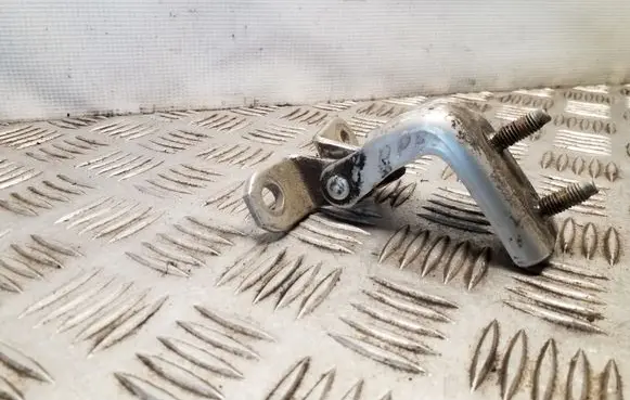 Suzuki Grand Vitara II Rear door lower hinge