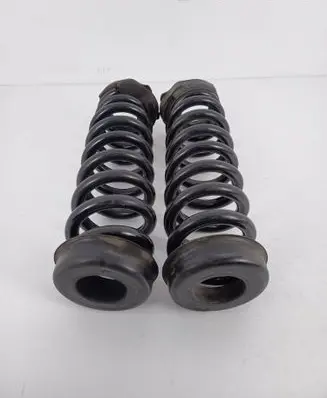 BMW X1 E84 Rear coil spring 6764419