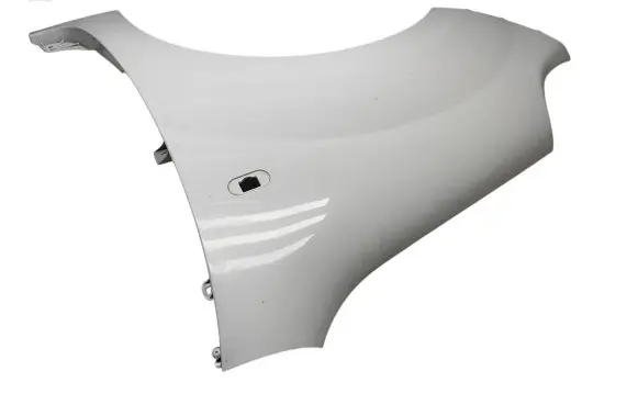 Renault Kangoo II Fender