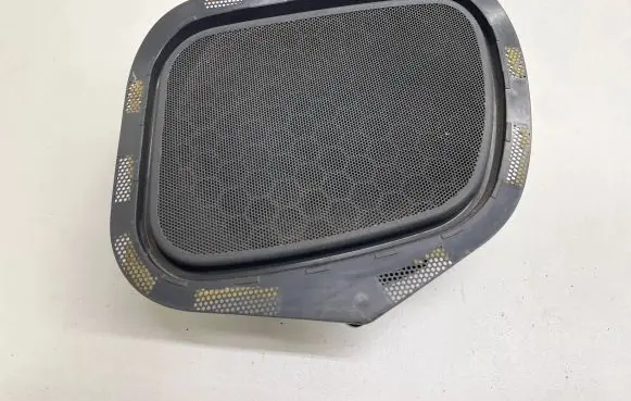 Front door speaker