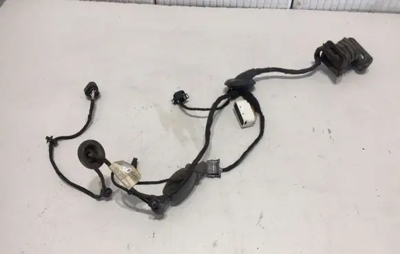 Volkswagen PASSAT B6 Rear door wiring loom 3C4971694EQ