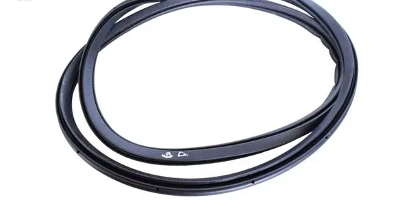 Polestar 2 Rubber seal rear door 31662570