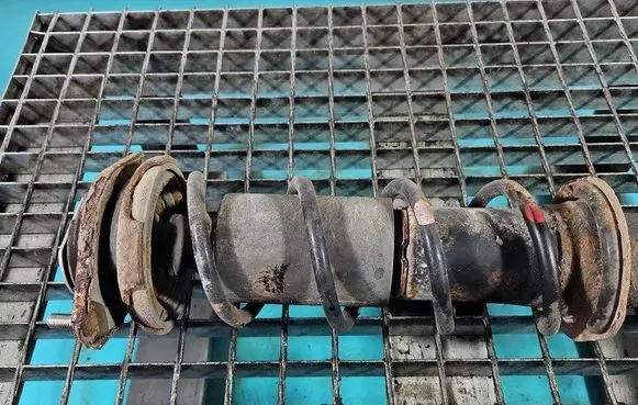 Rear coil spring