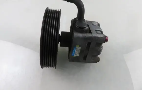 Suzuki Grand Vitara II Power steering pump 4910067J00