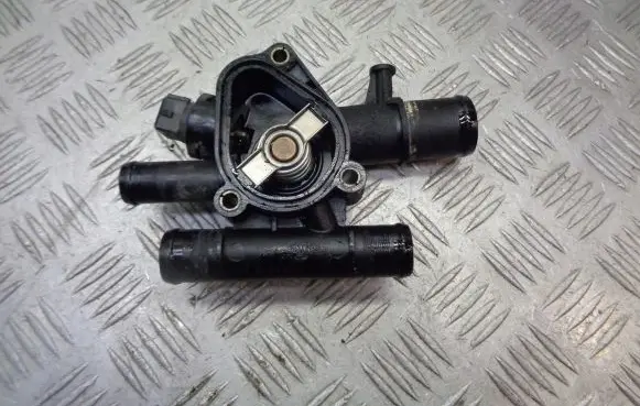 Thermostat/thermostat housing
