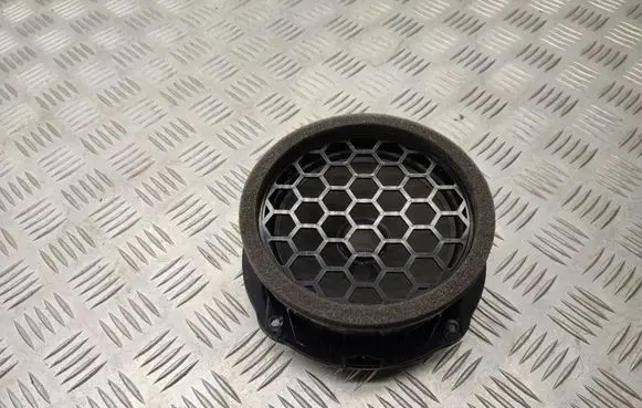Rear door speaker