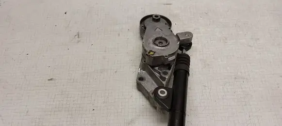 Seat Toledo II (1M) Generator/alternator belt tensioner