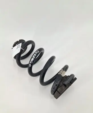 Rear coil spring