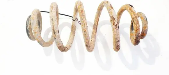 Rear coil spring
