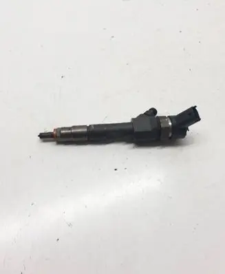 Suzuki Grand Vitara II Fuel injector 0445110230 8200389369