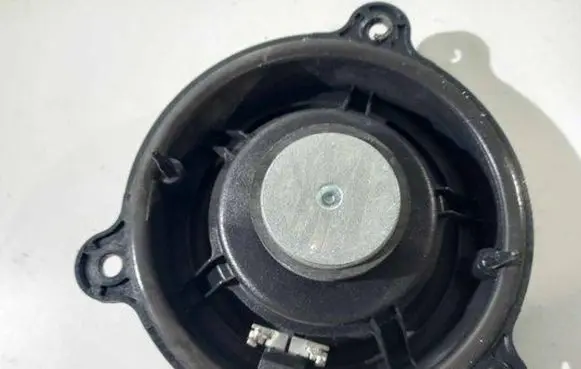 Renault Zoe Front door speaker