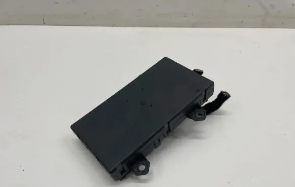 BMW iX Door control unit/module 5A6BEE5 184905
