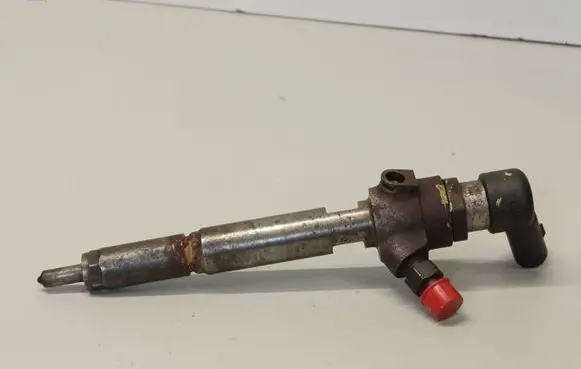 Nissan Qashqai Fuel injector H8200294788 8200380253