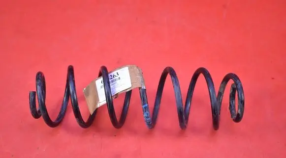 Rear coil spring