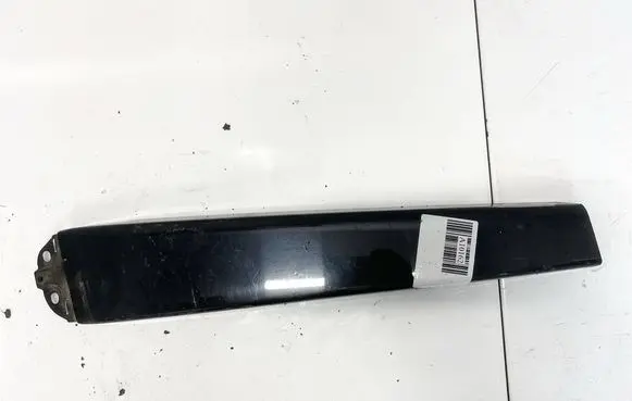 Other front door trim element