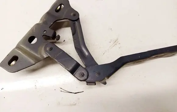 Hyundai Tucson IV NX4 Engine bonnet/hood hinges 